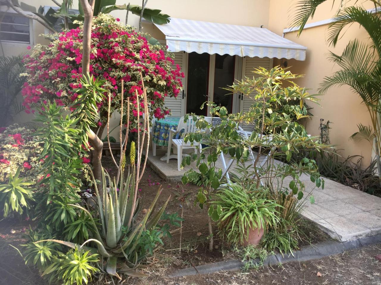 Apartamento A Pied Dans L'Eau Saint-Gilles-les-Bains Exterior foto